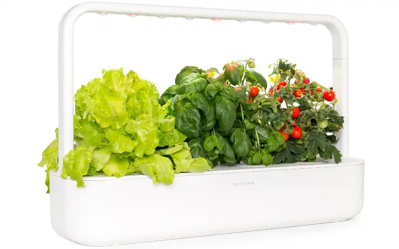 Click and Grow Indoor Gardens