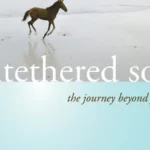 Michael Singer: The Untethered Soul